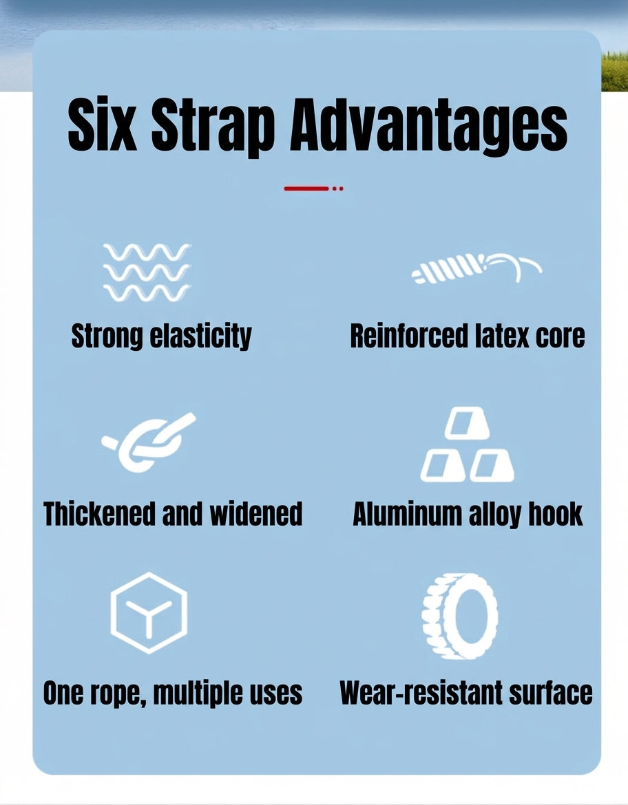 Luggage Strap & Carabiner Combo Set